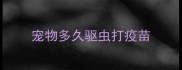 宠物多久驱虫打疫苗