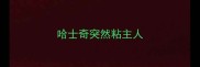 哈士奇突然粘主人