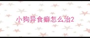 小狗异食癖怎么治