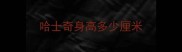 哈士奇身高多少厘米