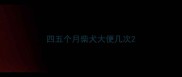 四五个月柴犬大便几次