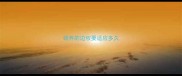领养的边牧要适应多久