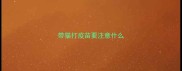 带猫打疫苗要注意什么
