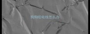 狗狗咬电线怎么办