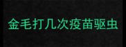 金毛打几次疫苗驱虫