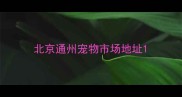 北京通州宠物市场地址