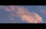 泰迪狗难产怎么办