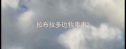 拉布拉多边牧串串