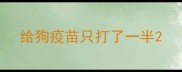 给狗疫苗只打了一半