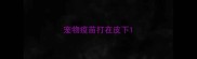 宠物疫苗打在皮下