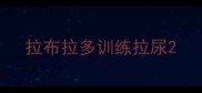 拉布拉多训练拉尿