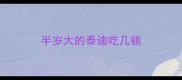 半岁大的泰迪吃几顿