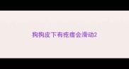 狗狗皮下有疙瘩会滑动