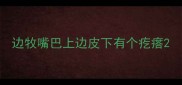 边牧嘴巴上边皮下有个疙瘩