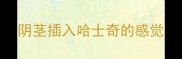 阴茎插入哈士奇的感觉