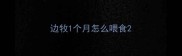 边牧1个月怎么喂食