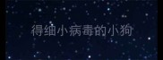 得细小病毒的小狗