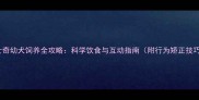 哈士奇幼犬饲养全攻略科学饮食与互动指南附行为矫正技巧