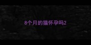 8个月的猫怀孕吗