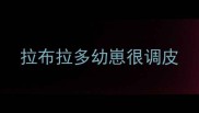拉布拉多幼崽很调皮