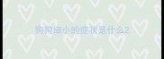 狗狗细小的症状是什么