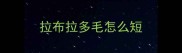 拉布拉多毛怎么短