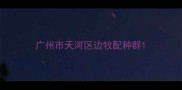 广州市天河区边牧配种群