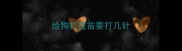 给狗打疫苗要打几针