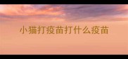 小猫打疫苗打什么疫苗