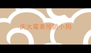 庆大霉素预防小狗