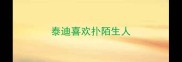 泰迪喜欢扑陌生人