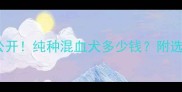 边牧价格大公开纯种混血犬多少钱附选购避坑指南