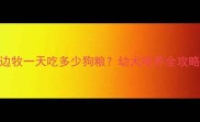 5个月边牧一天吃多少狗粮幼犬喂养全攻略来啦