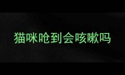 猫咪呛到会咳嗽吗