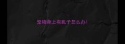宠物身上有虱子怎么办