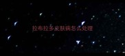 拉布拉多皮肤病怎么处理