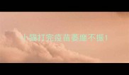 小猫打完疫苗萎靡不振