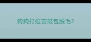 狗狗打疫苗鼓包脱毛