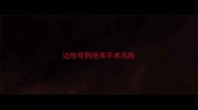 边牧母狗绝育手术风险