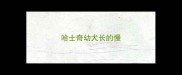 哈士奇幼犬长的慢