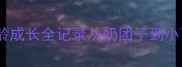 茶杯泰迪幼犬0-3月龄成长全记录从奶团子到小可爱附超全护理干货