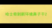 哈士奇到新环境鼻子干