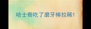 哈士奇吃了磨牙棒拉稀