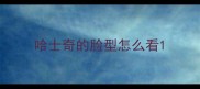 哈士奇的脸型怎么看