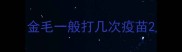 金毛一般打几次疫苗