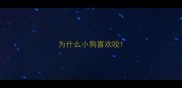 为什么小狗喜欢咬