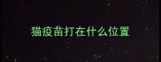 猫疫苗打在什么位置