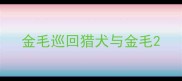 金毛巡回猎犬与金毛