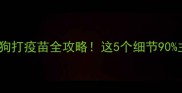 最新指南狗狗打疫苗全攻略这5个细节90主人都踩坑了