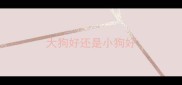 大狗好还是小狗好